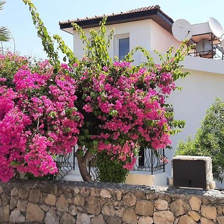 Villa Bougainvillea With Privite Pool Vasilia Exteriör bild