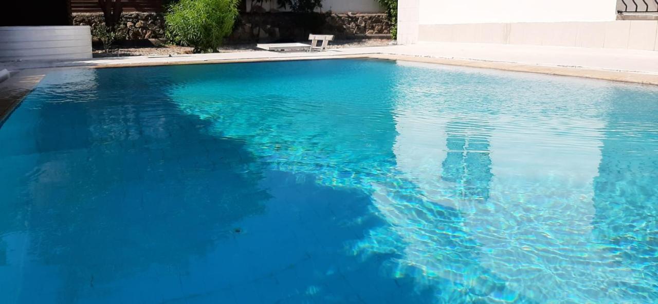 Villa Bougainvillea With Privite Pool Vasilia Exteriör bild