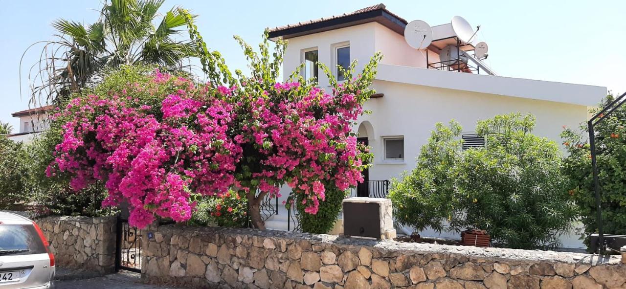 Villa Bougainvillea With Privite Pool Vasilia Exteriör bild