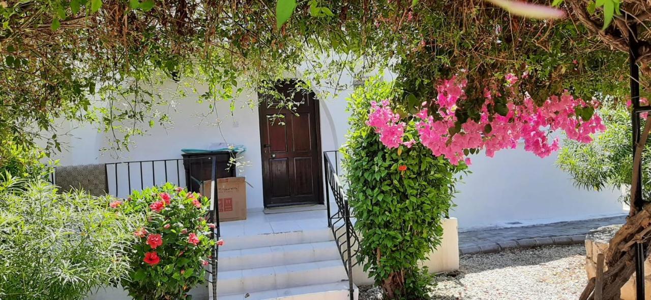 Villa Bougainvillea With Privite Pool Vasilia Exteriör bild